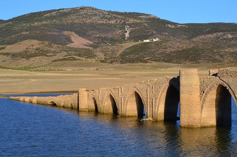 Puente Villarta Trashumancia